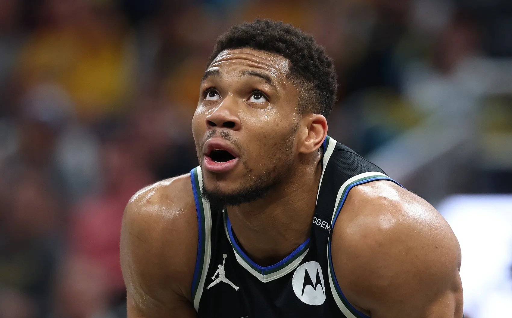 字母哥回归赛场,比分优势明显首场状态亮眼,独行侠观众沸腾!的简单介绍 字母哥回归赛场,比分优势明显首场状态亮眼,独行侠观众沸腾!的简单介绍