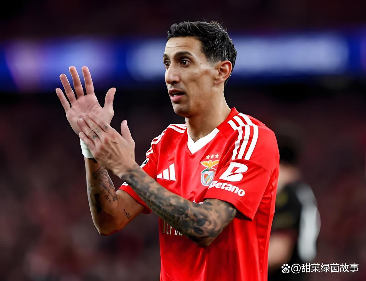 开云体育网页版登录葡超赛前再迎强敌，法兰克福调整名单，主帅态度：态度坚定，临场指挥获称赞(法兰克福弗赖堡比赛预测)